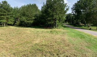 000 Mt Pleasant Ln SE, Bogue Chitto, MS 39629