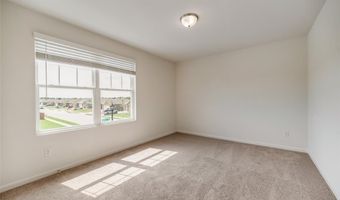 713 Peach Tree Ln, Anna, TX 75409