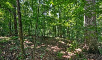 1322 Center Dr, Auburn, GA 30011