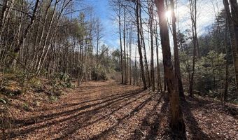 135 49ac Webb Creek Rd, Andrews, NC 28901
