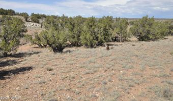 19 C & D County Rd N9033, Concho, AZ 85924