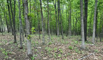 Co Rd 321 Route 5, Ava, MO 65608