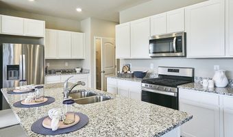 437 Abagail Cir Plan: GALVESTON, Harrington, DE 19952