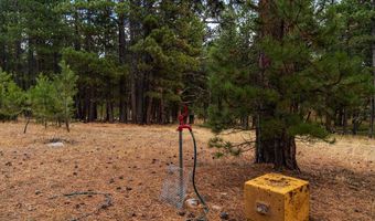 44 Ponderosa, Douglas, WY 82633