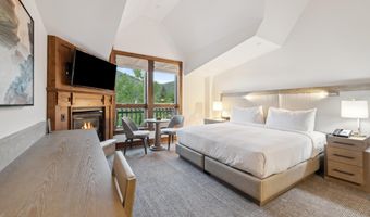 415 E Dean St. Unit 30 Week 9, Aspen, CO 81611