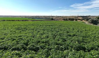 Neeley Road, American Falls, ID 83211