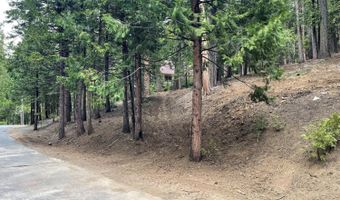 5175 Hokan Cir, Camp Connell, CA 95223