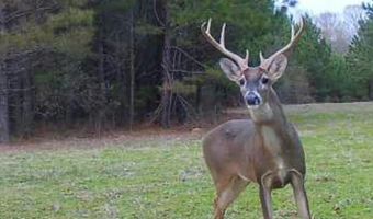 001 Farr Rd, Bolton, MS 39041