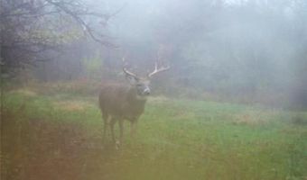 652 Nd St, Albia, IA 52531