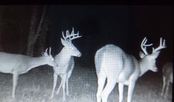 50 Acres Scenic Hwy, Attalla, AL 35954
