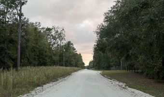 1 15th Ave, Bell, FL 32619