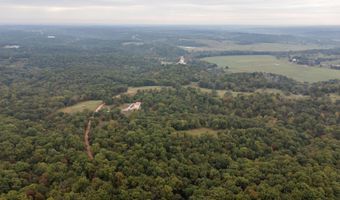 2421 Morrison Loop, Anderson, MO 64831