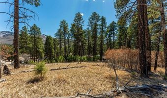 116 Pine Dr, Bayfield, CO 81122