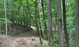 285 CO RD 235, Arley, AL 35541
