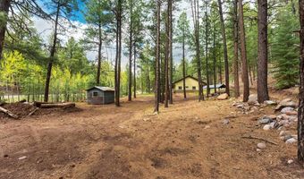 12316 County Road 501, Bayfield, CO 81122