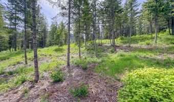 2015 THONI Rd, Addy, WA 99101
