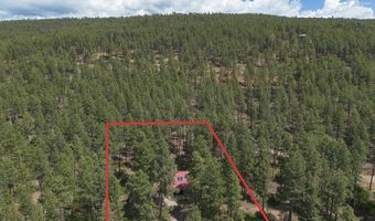 265 Pine Valley Rd, Bayfield, CO 81122