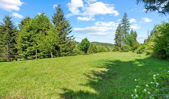 69931 Fishhawk Rd, Birkenfeld, OR 97016