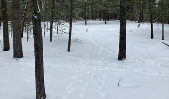VL Wilderness Circle, Alger, MI 48610