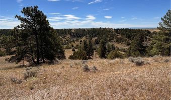 coulee view 1 1A 2 7 lot 1 1A 2 7, Billings, MT 59101