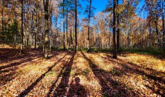 54 E Ridge Rd, Allardt, TN 38504