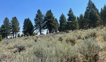 002 Ash Vly, Adin, CA 96006