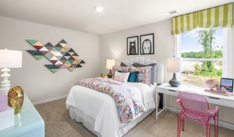 5298 Jessie Dr Plan: NORMAN, Apex, NC 27539