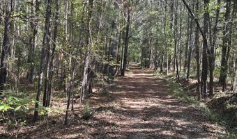 7501 Rainey Morris Rd, Appling, GA 30802
