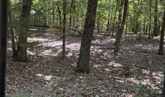 1767 Ff Hwy, Alton, MO 65606