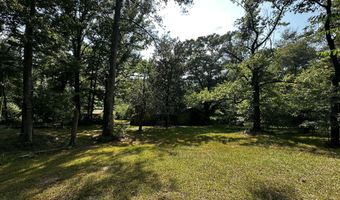 137 Shorter Rd, Braxton, MS 39044