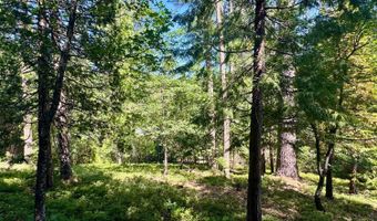1647 Gertrude Way, Arnold, CA 95223