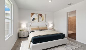 1707 Zander Ct Plan: Caprock, Alvin, TX 77511