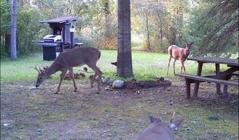 2254 E M30, Alger, MI 48610