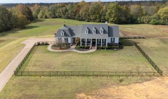 1795 CANEY Br, Adamsville, TN 38310