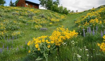 8906 Gold Dust Trl, Bozeman, MT 59715