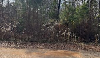 Singer Ln, Abbeville, AL 36310