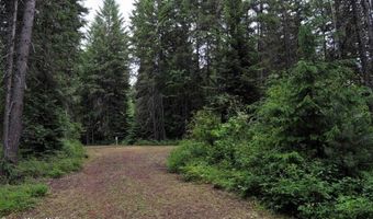 60317 Highway 200, Clark Fork, ID 83811