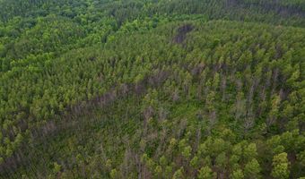 0 CR 77, Ashland, AL 36251