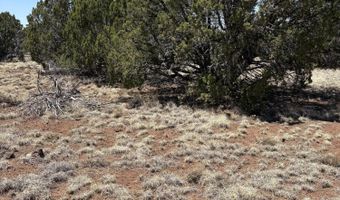 20 SE Kirkwood N8715 Rd, Concho, AZ 85924