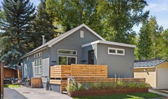 55 Bear Trl, Aspen, CO 81611