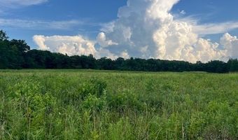 Harrison St / Hwy 69, Batesville, AR 72501