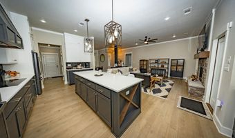 13017 Avilla Hills Cv, Alexander, AR 72002
