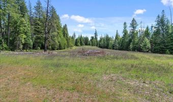 Nna Mesa Drive, Careywood, ID 83809