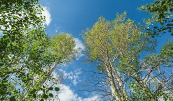 TRACT 4 ASPEN RIDGE Road, Daniel, WY 83115