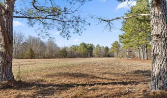 343 Co Rd 814, Flat Rock, AL 35966