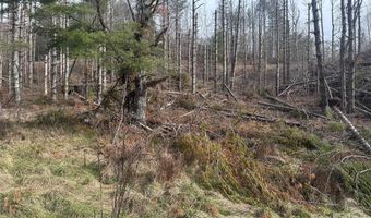 99999 White Pine Ln, Bakersville, NC 28705