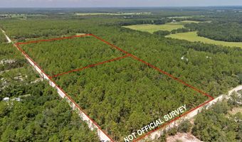 TBD 65th St, Bell, FL 32619