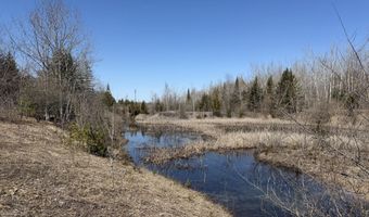 139 AC Witt Rd, Alpena, MI 49707