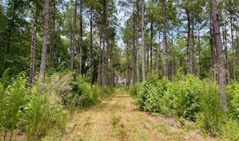 Fox Paw Court, Branchville, SC 29432
