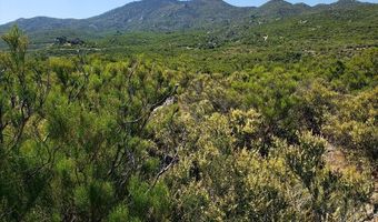 0 Ribbonwood Dr, Mountain Center, CA 92561